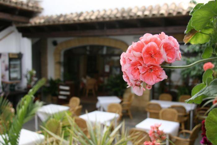 Hostal Torre De Guzman Conil De La Frontera Luaran gambar