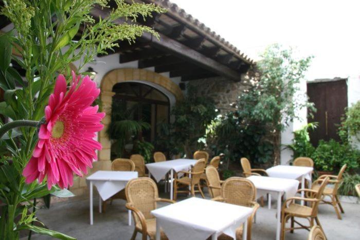 Hostal Torre De Guzman Conil De La Frontera Luaran gambar